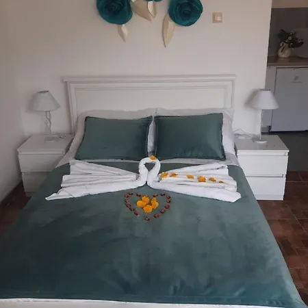 Oaza - Zvornicko Jezero Guest house Zvornik