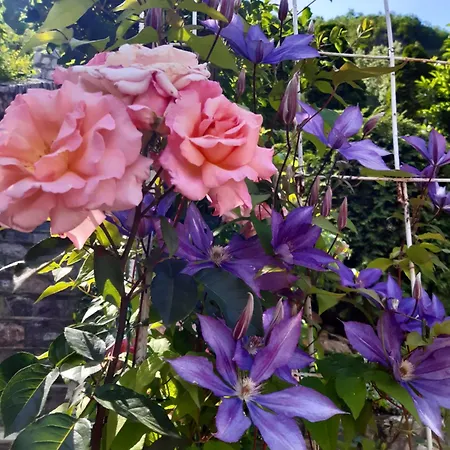 Oaza - Zvornicko Jezero 3*