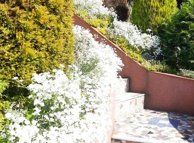 Oaza - Zvornicko Jezero