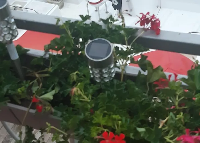 Oaza - Zvornicko Jezero Guest house