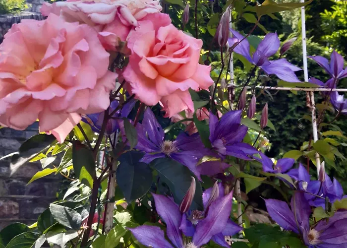 Oaza - Zvornicko Jezero 3*